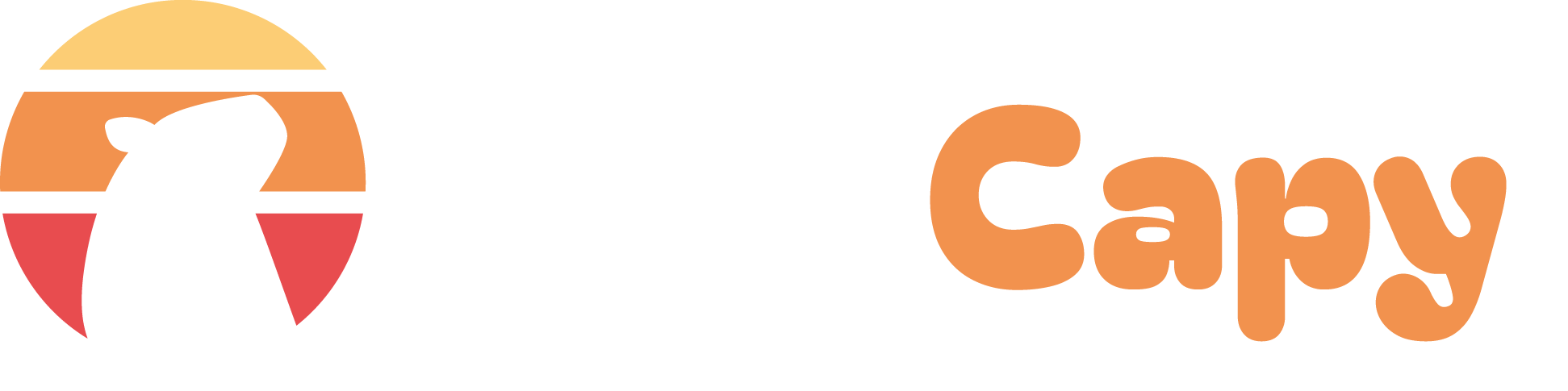 Image projet
